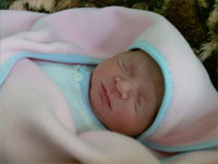 سیدمرتضی